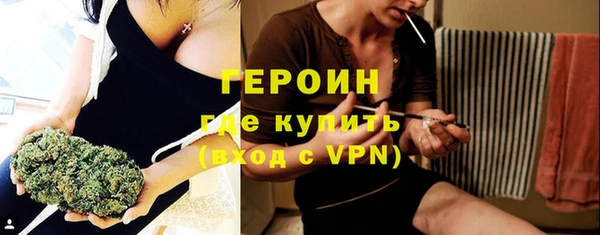 сатива Бородино