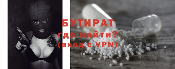 сатива Бородино