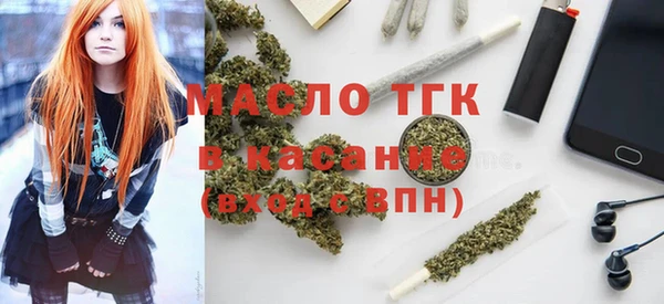 сатива Бородино