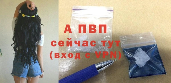 сатива Бородино